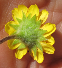 Photo taken at Fort Ord National Monument © 2011 Dylan Neubauer. 